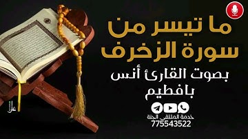 ما تيسر من سورة الزخرف بصوت القارىء أنس با فطيم