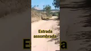 Estrada assombrada