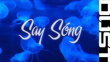 Say Sóng (Dust Remix) - Tăng Duy Tân ft. 2pillz, Drum7
