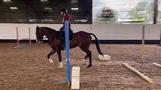 Ad ref 243497   Video 2