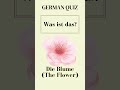 German Quiz #GermanA2 #GermanB1 #DeutschA2 #DeutschB1 #IntermediateGerman #GermanLevelTest