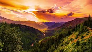 Beautiful Relaxing Piano Music and Birds Singing - Bird Sound, Relaxtion Piano
