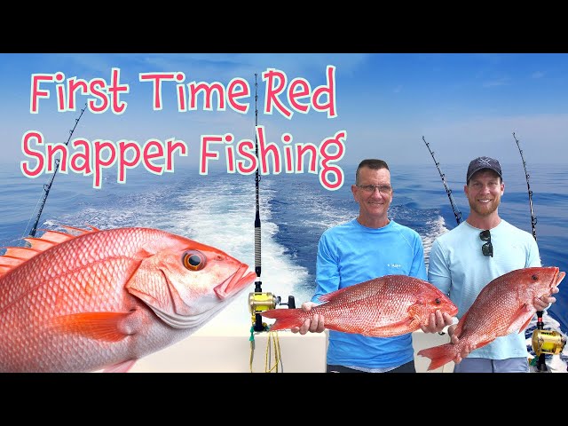 Limiting Out on Red Snapper, some Barracuda and Black Seabass #georgia  #georgiafishing #fishing 