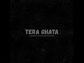 Tera Ghata Arzvocals Tera Ghata Arzvocals