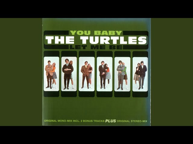 Turtles - Teardrops