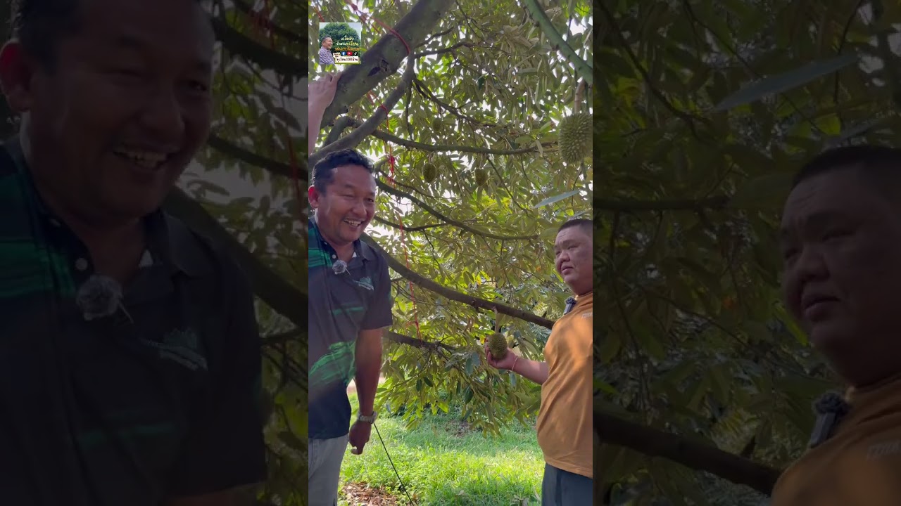 26 กุมภาพันธ์ 2569