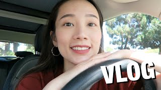 Eng) Weekend Vlog: Bacon Fried RiceSkincare Routine、Making Carbonara