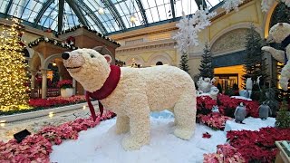 4k bellagio christmas conservatory 2016