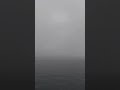 fog at Victoria  Harbour 22 Mar 2022