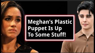 Harry And Meghan Reddit Reactions To Harry And Meghan Latest News