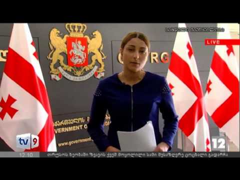 ახალი 12 | მთავრობის სხდომა | 11.01.13