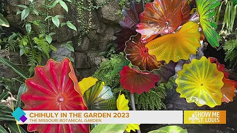 Chihuly in the Garden returns to Missouri Botanical Garden