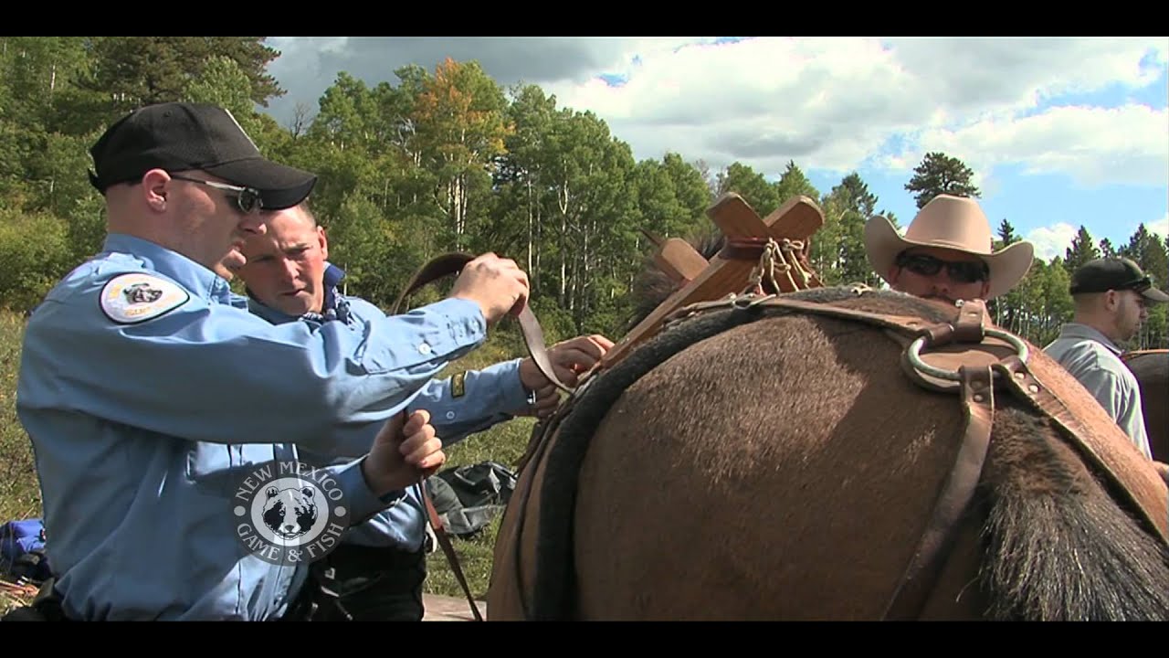 Pecos Wilderness Horse Packing NMDGF Horse Packing School