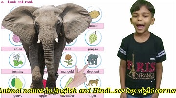 Std 2 English Chapter 2.2 Activity Time