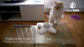 Compre o Brinquedo Flutter Bug AFP para seu gato