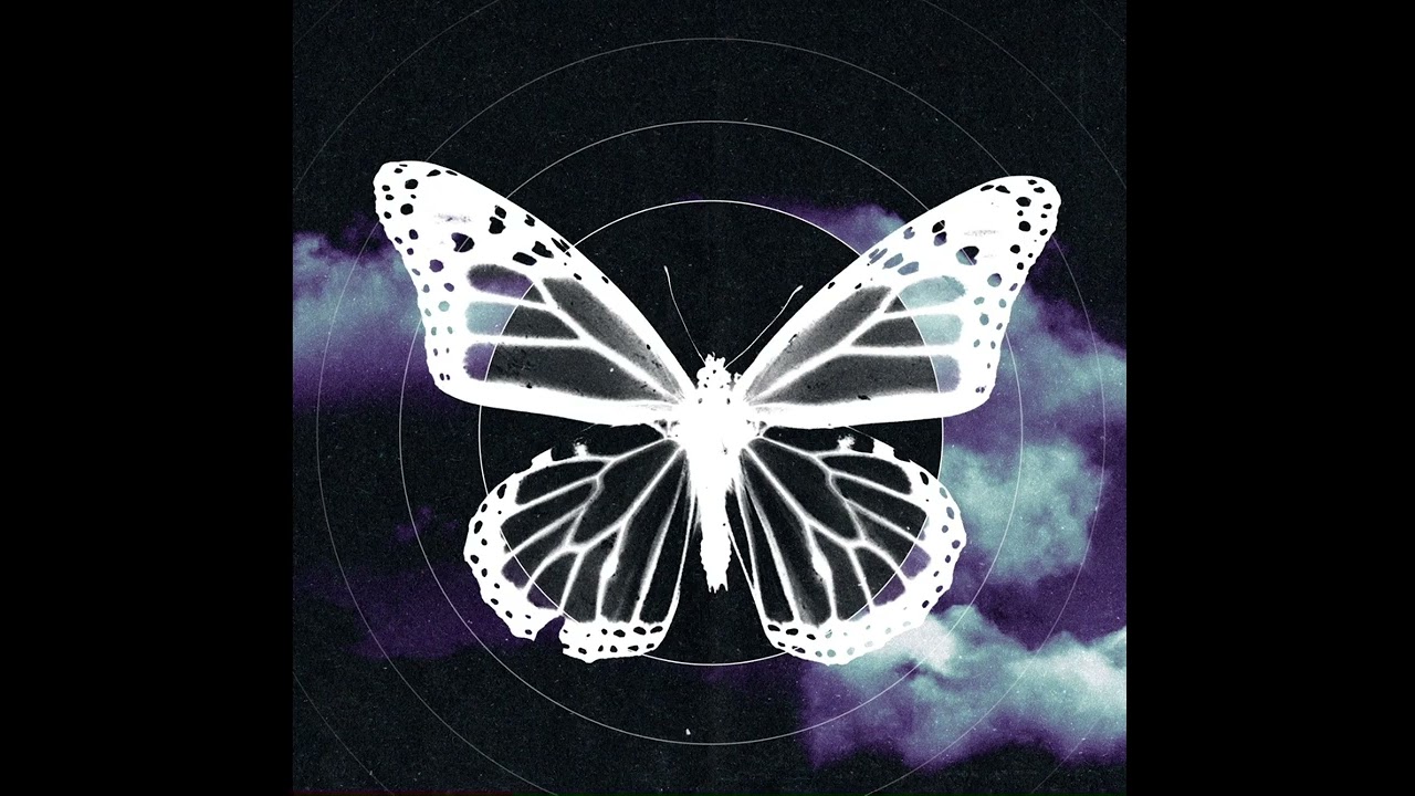 Guarda NOT - “Lied” ( Official Audio ) su YouTube Guarda NOT - “Lied” ( Official Audio ) su YouTube
