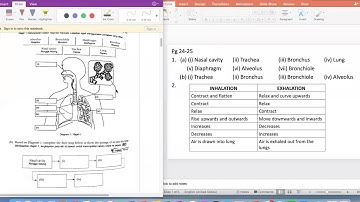Form 3 Science Chapter 2 Respiration exercise discussion part 1
