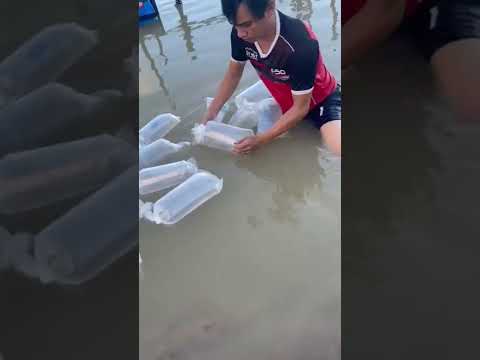 Releasing all the