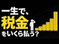 人は一生で、いくらの税金を払うのか?【データストーリーテリング】