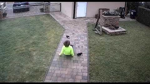 Guy Slips on Concrete Pathway and Falls on His Back - 1544673