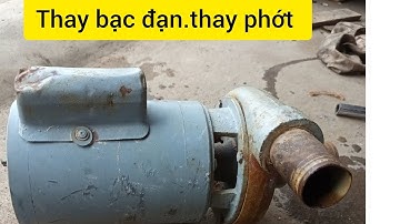 Hướng dẫn thay bạc đạn phốt máy bơm nước .cơ hội học nghề miễn phí @Dạynghềđiệncơ