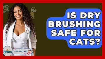 Is Dry Brushing Safe For Cats? - Ask A Pet Vet