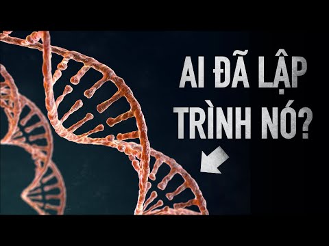 Video: Cấu trúc DNA cho phép nó sao chép như thế nào?
