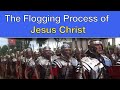 The Flogging Process of Jesus Christ - The History and Why it Matters - #14