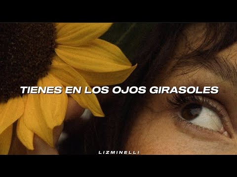 Tienes en los ojos girasoles... 🌻👀 || ROZALÉN - Girasoles // Letra. ♡