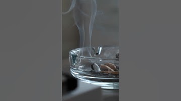Does Lysol Remove Cigarette Smoke? Clean Life Blog