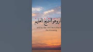 قل أغير الله أتخذ ولياً | القارئ: عادل ريان