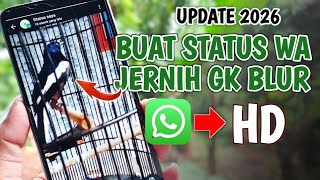 Cara Buat Status WhatsApp Jernih & HD (Tidak Blur) | Update 2026