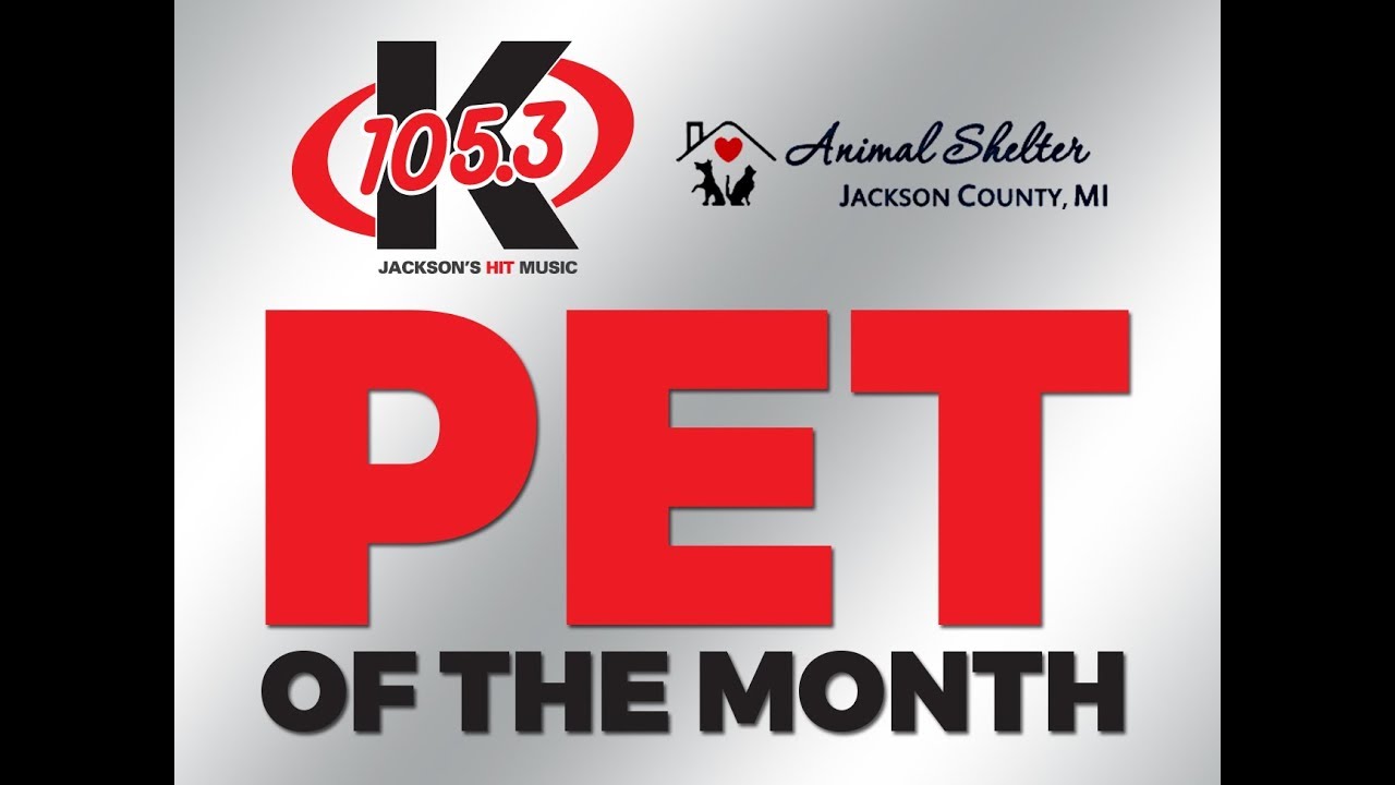 video editing software free June Pet of The Month, Boogie!