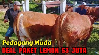 UPDATE HARGA SAPI LEMON MENJELANG IDUL ADHA‼️PEDAGANG MUDA PASAR SAPI PLAOSAN MAGETAN