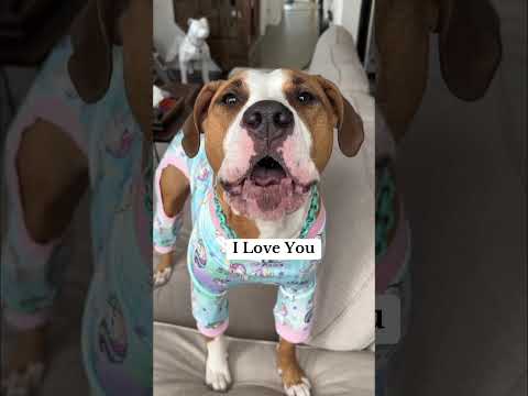 My Dog Says I Love You Perfectly 😍