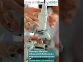 Pharmacy Education