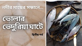 ভোলার ভেদুরিয়া ঘাটে: a large river fish market