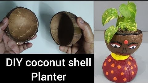Transforming Waste: DIY Coconut Shell Planter Guide for Sustainable Gardening | eco friendly planter