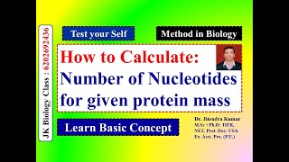 How to calculate: Number of Nucleotides for given protein mass | CSIR NET LIFE SCIENCE