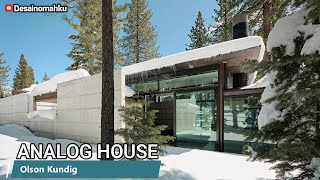 Analog House : A Harmonious Blend of Nature and Modern Design
