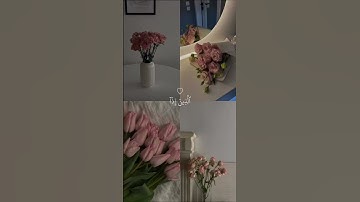 #آيات #اكسبلور #القرآن #القرآن_الكريم #ايات_قرانيه_قصيره