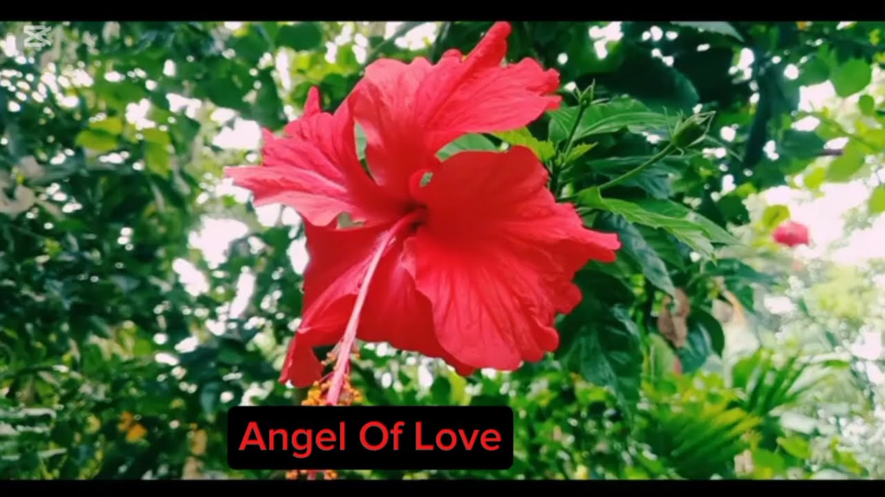 New Golpo love Story Choti golpo Bangla Audio Story Bengali