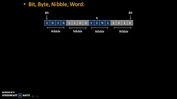 ¿Por qué 4 bits se llaman nibble?