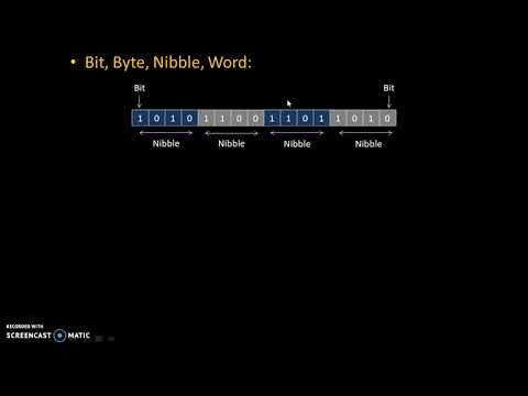 Video: Hvor mange bits er det i en byte, hvor mange nibbles er det i en byte?