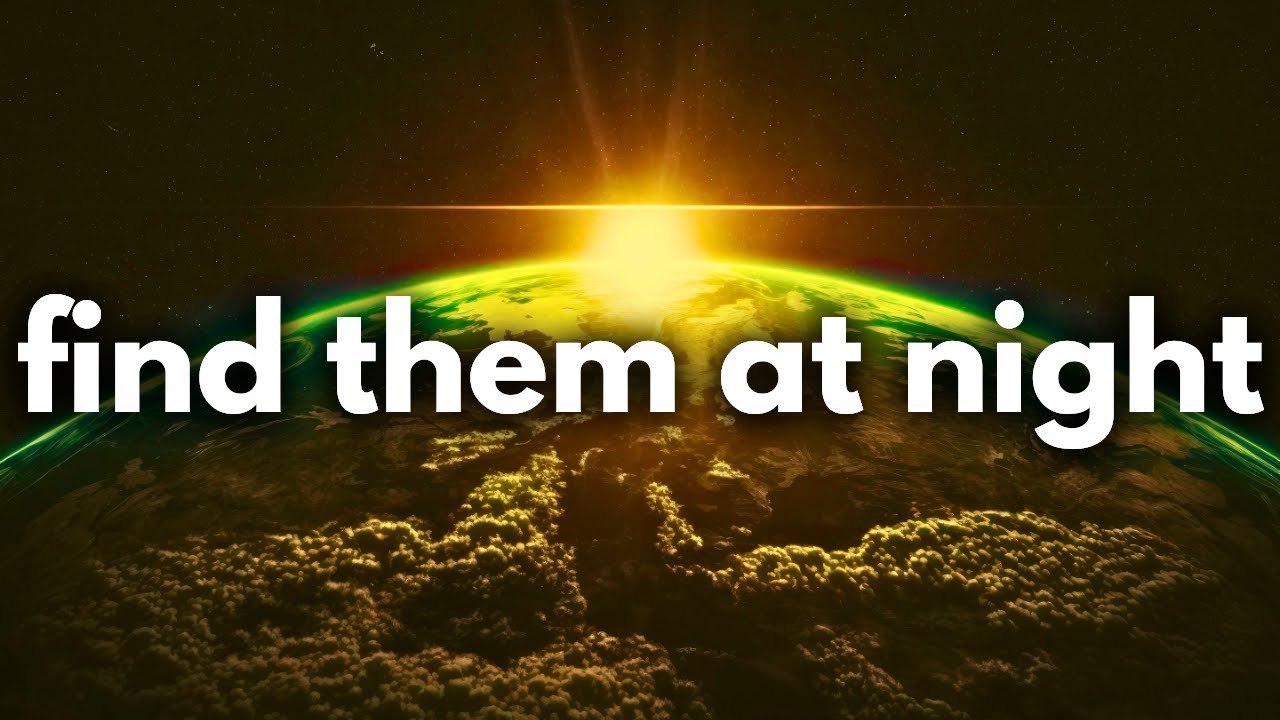 Looking for snakes at night!!  🐍