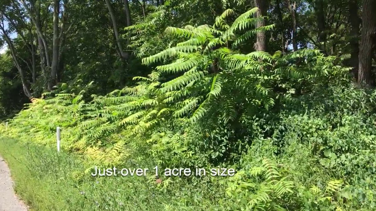 393 Clove Rd, Montague NJ 07827