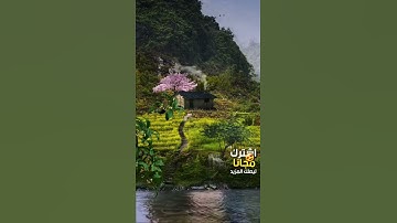 راحة نفسية  - تلاوة هادئة مؤثرة