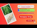 Cotton Corporation of India Recruitment 2023 | CCI 2023 |Junior Commercial Executive | COWPEA