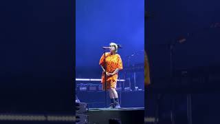 Billie Eilish - xanny - live - moments