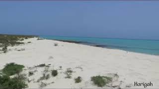 جزيرة جانا الجبيل يوتيوب